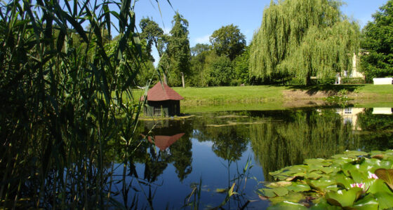 Landsdorf 05